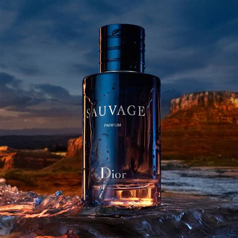 parfum dior sauvage nocibe|Dior Sauvage 100ml best price.